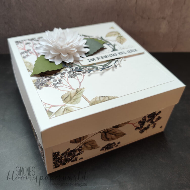 XXL-Box